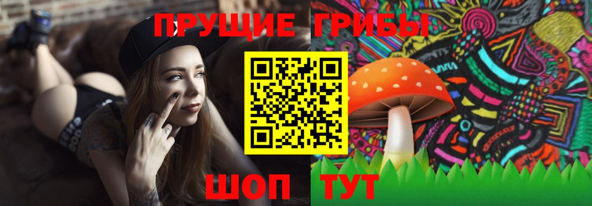 Орёл  Псилоцибиновые грибы мицелий  Вход с VPN  Псилоцибиновые грибы ЛСД 